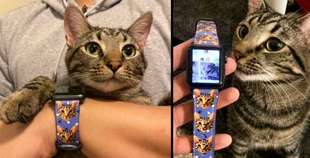 Tilpasset kjæledyr kunst portrett Apple watch band,